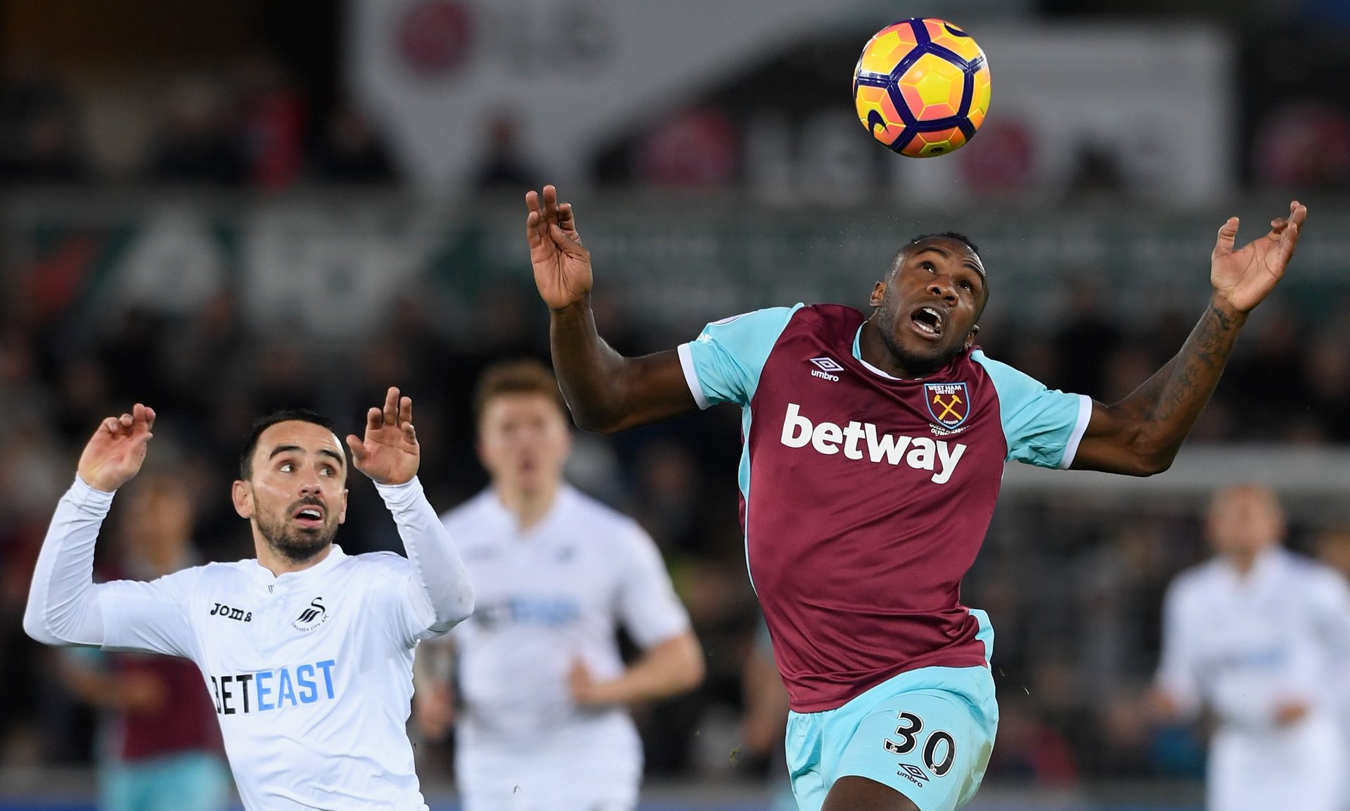 仅十岁左右 仅十岁左右